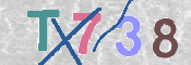 キャプチャ画像